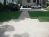 Outdoor Living: View from the Guest House towards the main house